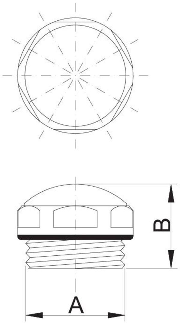 Blindstop O-Ring Wit 1/2 – Betrouwbare afdichting